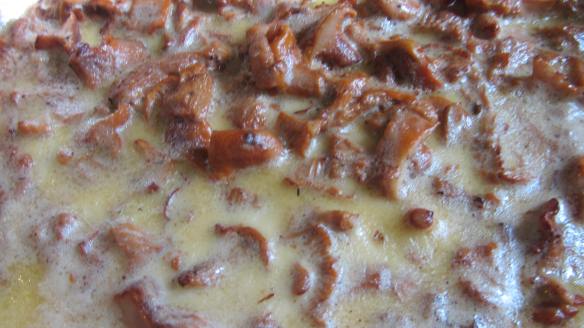 Medallones de Lomo de cerdo con cema de cantarelus cibarius  - 03