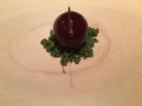 0172f02def40bbac58169af00329062fc6cb8c2e75